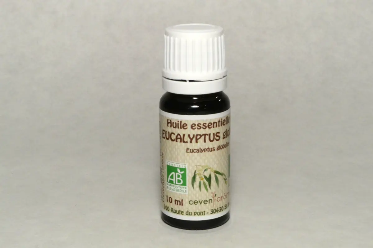 Huile essentielle BIO - Eucalyptus globulus 10 ml visuel 1